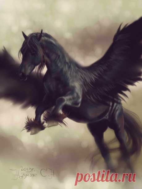 flight of Pegasus by Animal75Artist on DeviantArt