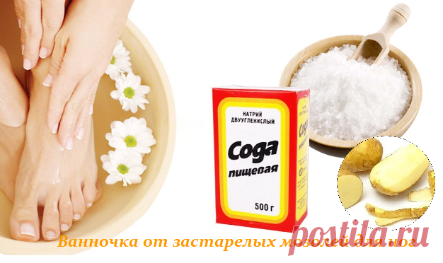 Дневник Stella 2015