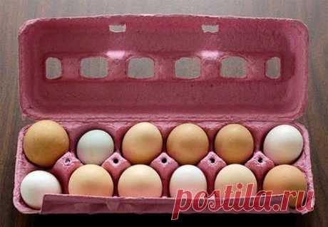 Простые кухонные советы