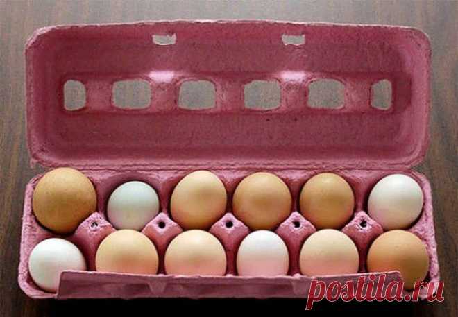 Простые кухонные советы