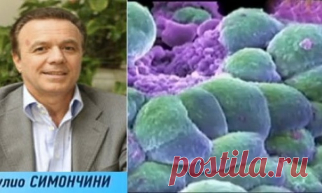Онколог Туллио Симончини : «Рак излечим, просто это кому-то не выгодно»