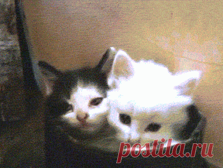 Мой Мир@Mail.Ru
