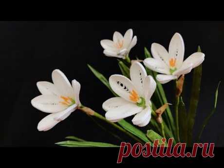 ABC TV | How To Make Rain Lily Flower | Paper Quilling - Craft Tutorial