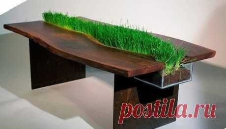 Стол с живыми растениями
