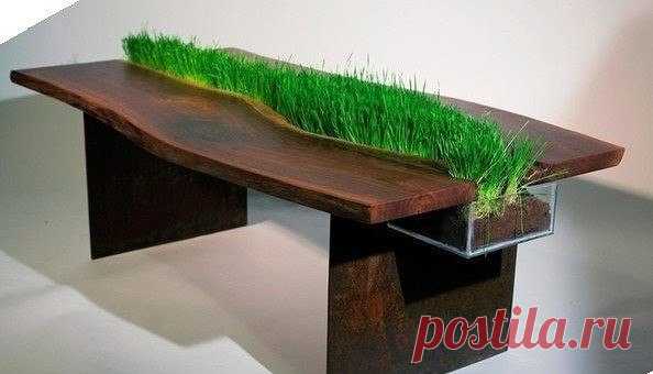 Стол с живыми растениями