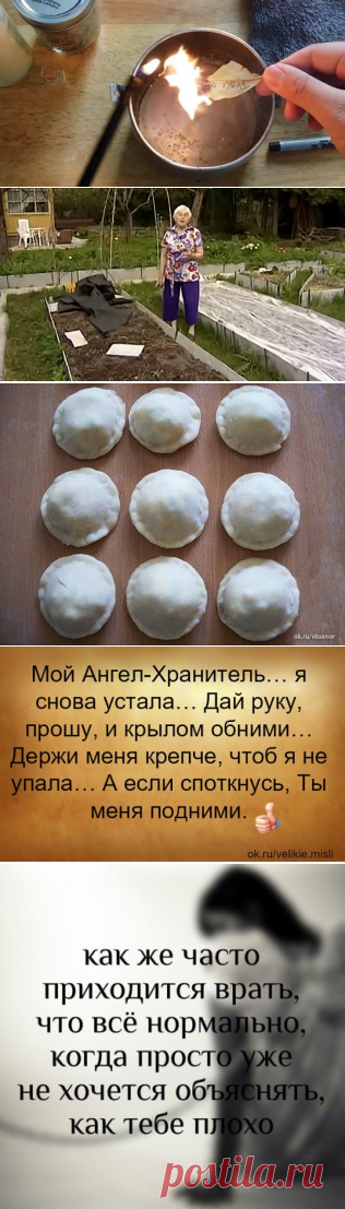 (58) Одноклассники