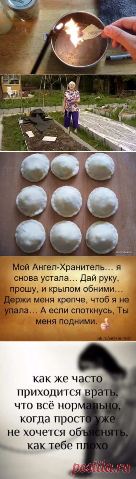 (58) Одноклассники