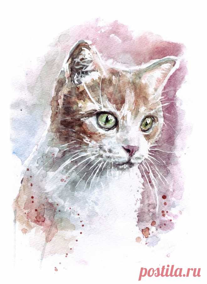 «Котёнок, акварель. Автор - Наташа (Tateshi) Пилипенко. Давно рисует, иллюстрирует.. Влюблена в акварель.» — карточка пользователя slavashishaev в Яндекс.Коллекциях