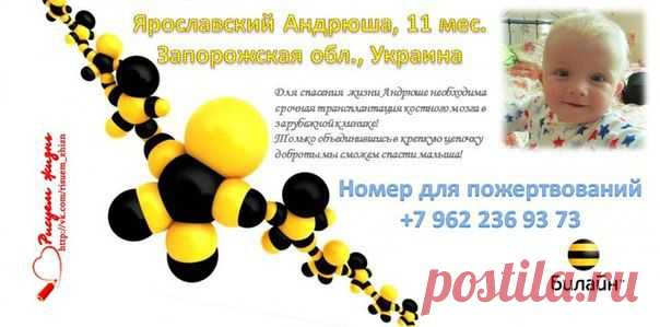 РИСУЕМ ЖИЗНЬ! Андрюша Ярославский, сбор до 24.12