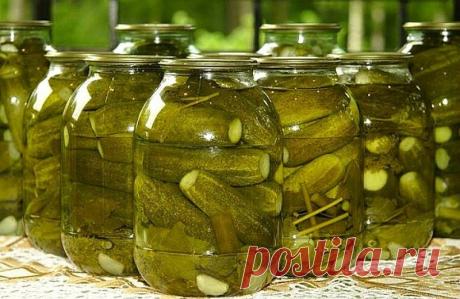 ЗАКРЫВАЕМ ОГУРЦЫ НА ЗИМУ. 8 ВАРИАНТОВ ЗАГОТОВОК! | Самые вкусные кулинарные рецепты
