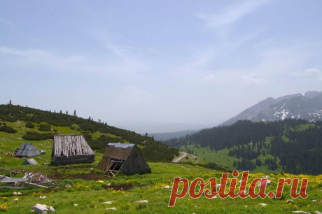 (5) Turistička Organizacija Žabljak