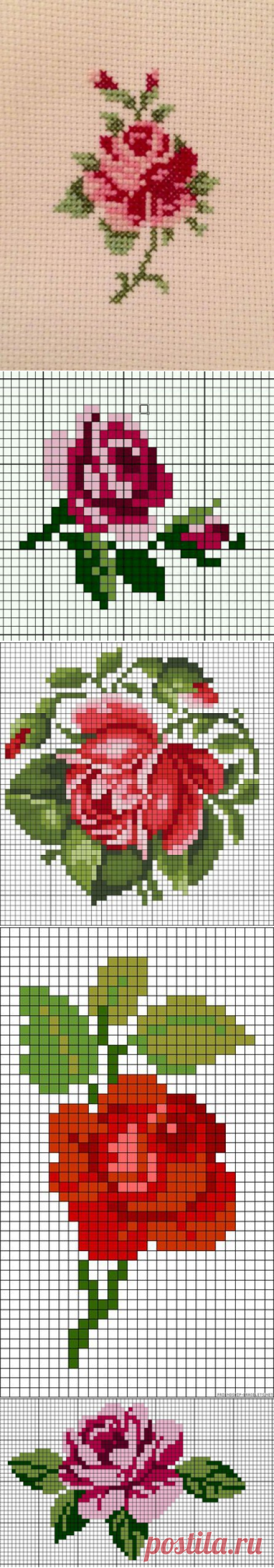 Розы. вышивка. схемы.  — Сделай сам, идеи для творчества - DIY Ideas