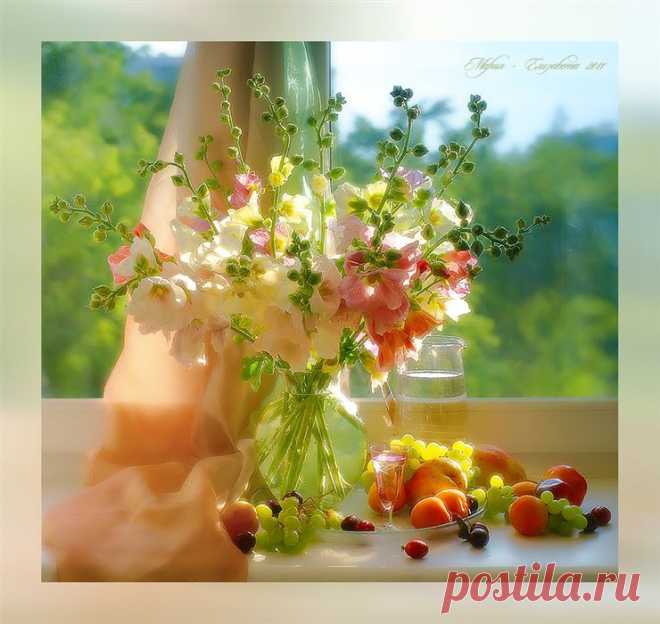 0_8a427_fd7ebdde_XL.jpg (740×700)