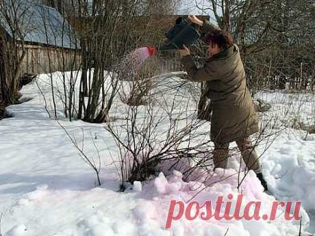 (7) Одноклассники