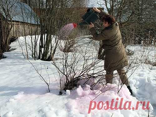 (7) Одноклассники