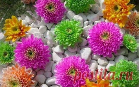 О том, как можно бороться с усталостью и сохранять энергию целый день.