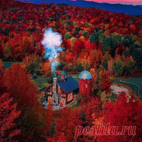 Photo by Nature Lovers in Vermont. На изображении может находиться: растение, дерево, небо, цветок, на улице и природа.