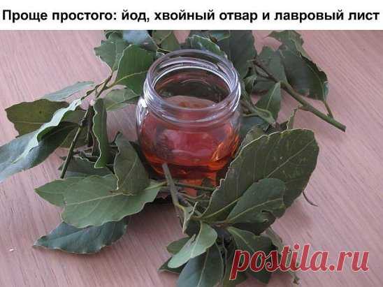 ✔ Советы и Рецепты : 
Сохраните, чтобы не потерять
СОВЕТ 1: Проще простого: йод, хвойный отвар и лавровый лист. Бабушкины рецепты.
Мне уже 76 лет, много пережито и испытано в жизни, столько болезней перенесла. Вот и хочу поделиться опытом. Как я излечила зоб. Выросла я на реке Ангаре, в воде которой очень мало йода. Наверное, в этом одна из причин того, что зоб - довольно распространенное заболевание среди жителей тех краев. Когда попала в Иркутскую областную клинику на консультацию к эндокрино
