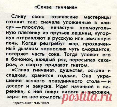 &quot;Слива гничана&quot;
