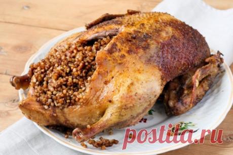 Утка с гречкой и куриной печенью в духовке — Дачный участок