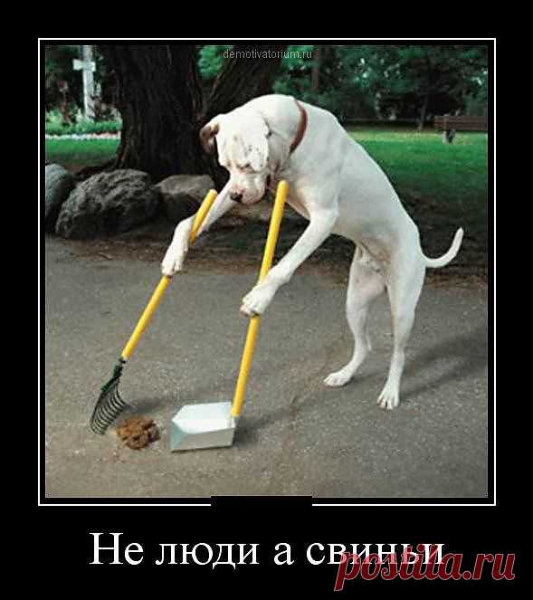улыбнитесь!