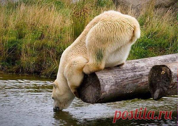 Интересные новости