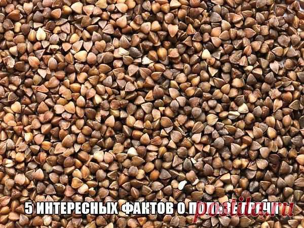 5 ИНТЕРЕСНЫХ ФАКТОВ О ПОЛЬЗЕ ГРЕЧИ