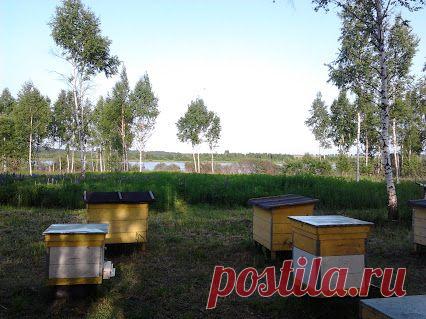 Евгений Корнеев – Google+