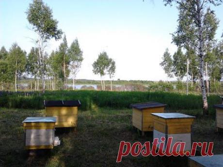 Евгений Корнеев – Google+