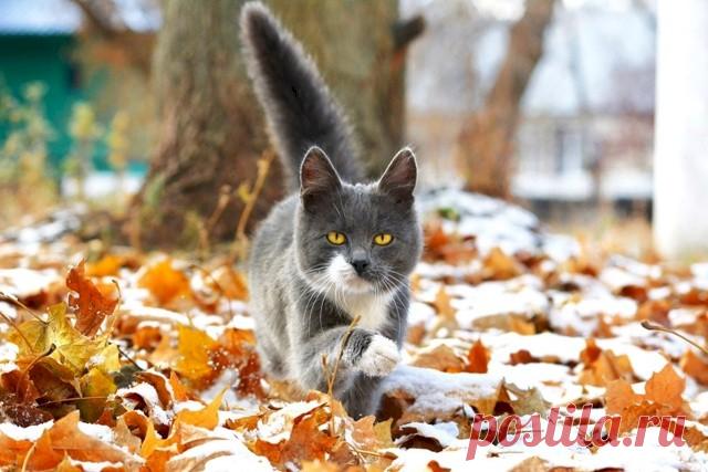 0130b428.jpg (640×427)