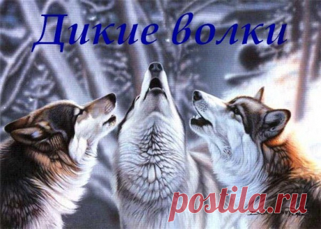 (2) Мой Мир@Mail.Ru