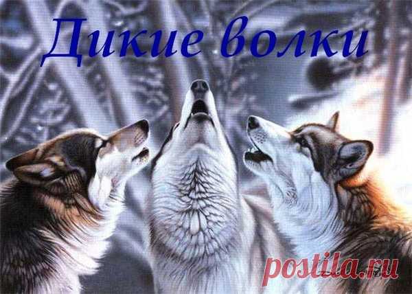 (2) Мой Мир@Mail.Ru