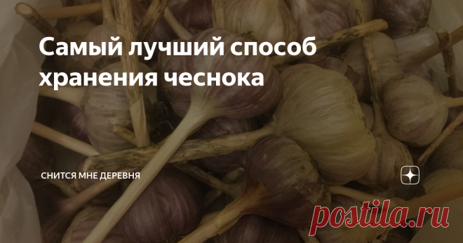 Самый лучший способ хранения чеснока Я много лет делаю только так. Чеснок до весны как свежий. Научить вас? Пожалуйста.