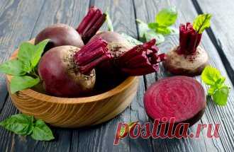 Свекла: вкусные рецепты заготовок на зиму