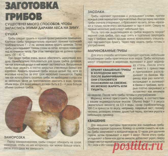 Заготовка грибов