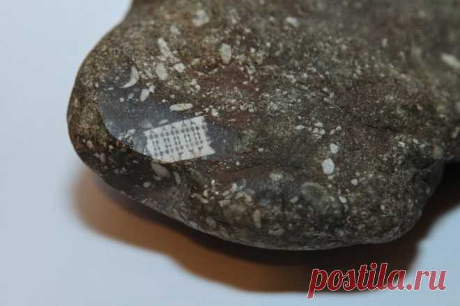 Российские ученые нашли камень с микрочипом возрастом 250  лет | КИНОХИТ
