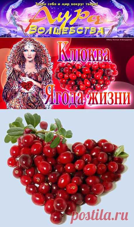 Сайт &quot;Аура волшебства&quot;