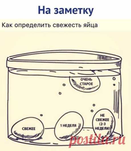 (7) Марья Хозяйкина