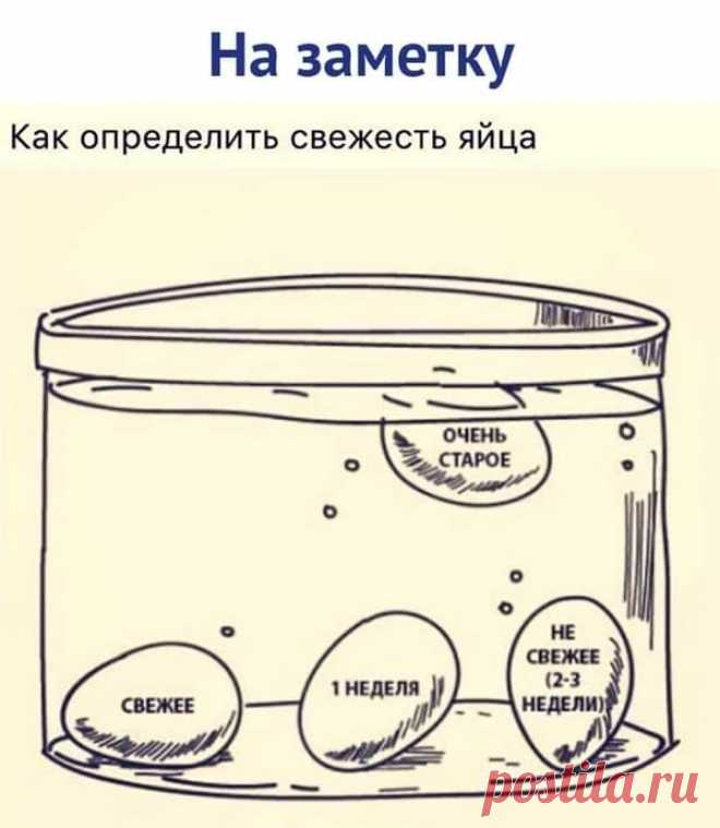 (7) Марья Хозяйкина