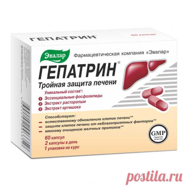 Гепатрин, 0.33 г, капсулы, 60 шт. купить по цене от 636 руб в Краснодаре, заказать с доставкой в аптеку, инструкция по применению, отзывы, аналоги, Эвалар