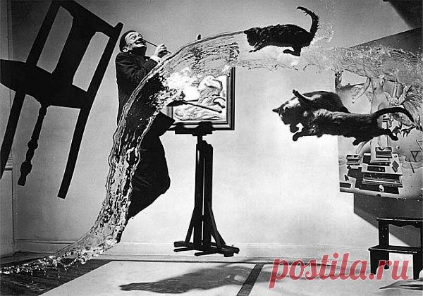 Великолепные работы Филиппа Халсмана