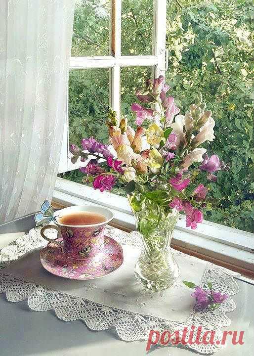 чай с бабочкой