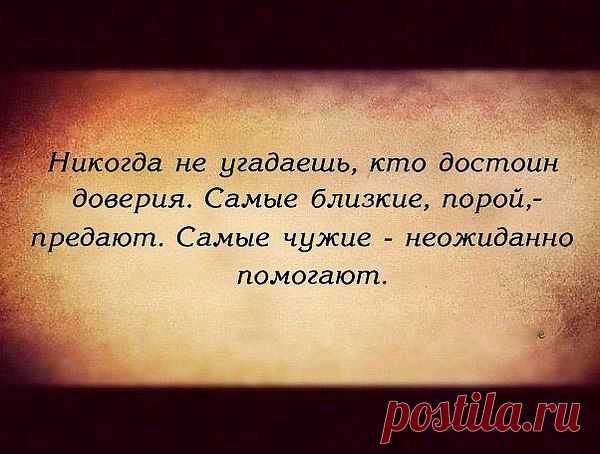 Правда жизни