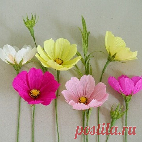 It's gloomy right down here and the weather is getting inclement on a Sunday morning but seeing these cheery and vibrant cosmos is enough to brighten my day. I hope that you will have a bright day today. #thepaperblooms