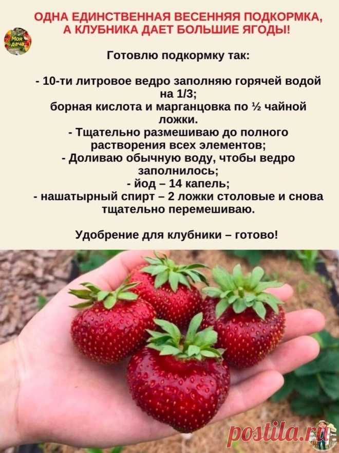 Галина Антропова