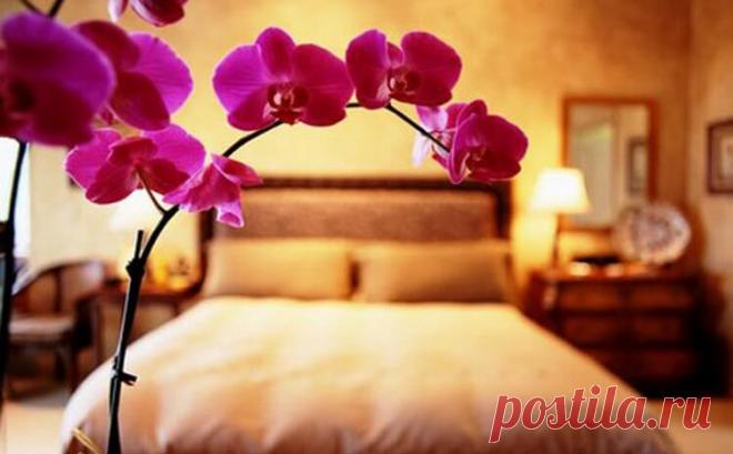 Что нельзя делать дома: 10 главных запретов по фен шуй 


Древнекитайское учение фэн-шуй поможет вам организовать пространство дома и сделать его гармоничным. Чтобы не привлечь в свою жизнь потоки негативной энергетики, следуйте главным запретам учения, и…