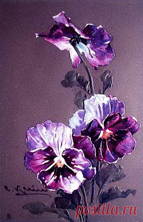 Копилка Впечатлений.
Галина Сенник