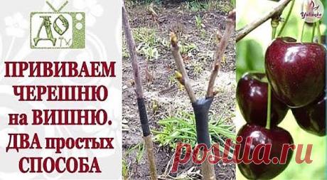 (63) Одноклассники