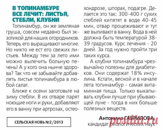 В топинамбуре все лечит: листья, стебли, клубни