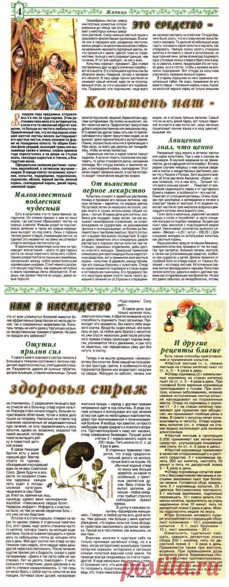 Копытень - страж здоровья